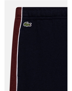 Спортивные штаны TRACKSUIT TROUSERS COLOR BLOCK UNISEX, темно-коричневый Lacoste