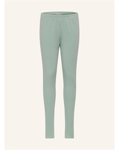 Термолеггинсы dnaomi, зеленый Danamade