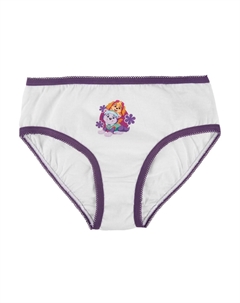 Трусы 2ER PACK , разноцветный Paw patrol