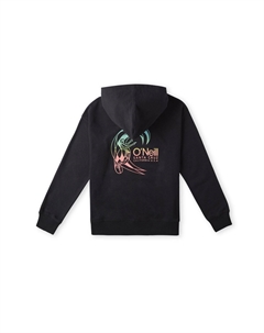 Толстовка CIRCLE SURFER, пестрый черный O`neill
