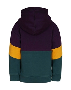Толстовка с капюшоном, темно-фиолетовый Band of rascals