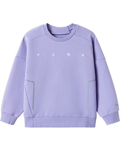 Толстовка GS, фиолетовый Puma