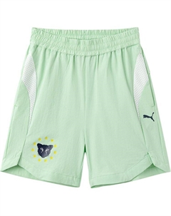 GS Шорты, зеленый Puma