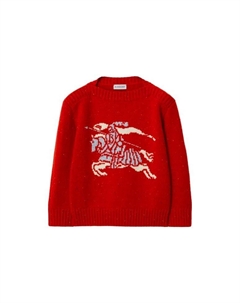 Толстовка детская, красный Burberry