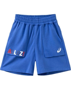 PS Шорты, синий Asics