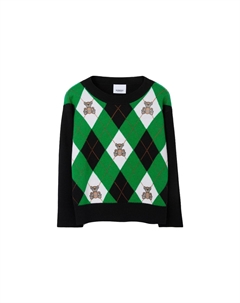 Свитер детский, зеленый Burberry