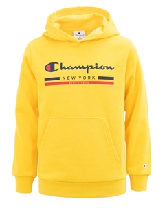Толстовка Hooded Sweatshirt, разноцветный Champion