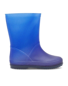Резиновые сапоги, синий Action boy