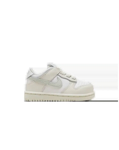 Кроссовки Dunk Low TD, цвет Phantom Light Silver Nike