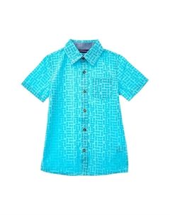 Рубашка на пуговицах, зеленый Andy & evan