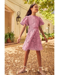 Кружевное платье для особых случаев с расклешенными рукавами, розовый Lipsy