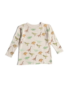 Футболка с длинными рукавами Boys All Over Dino, цвет Multi Chaser