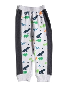 Джоггеры с боковыми вставками Little Boys с динозавровым принтом, цвет Multi Chaser