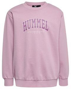 Толстовка Hmlfast, цвет MAUVE SHADOW Hummel