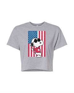 Укороченная футболка с изображением флага Juniors' Peanuts Joe Cool, серый Licensed character