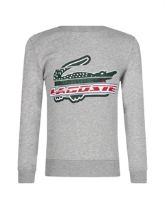 Толстовка обычного кроя, серый Lacoste