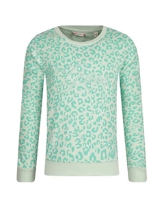 Толстовка обычного кроя, зеленый Guess