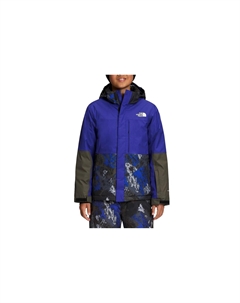 Детская куртка, цвет Blue The north face
