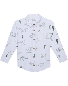 Рубашка Dino Button-Down Coastal Cloth Shirting, белый Chaser