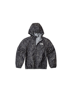 Ветровка, серый The north face