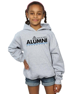 Толстовка «Равенкло» для выпускников Хогвартса, серый Harry potter