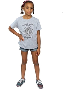 Футболка «В ожидании моего письма» из Хогвартса, серый Harry potter