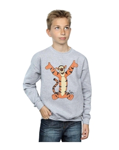 Классический свитшот с изображением тигра, серый Winnie the pooh