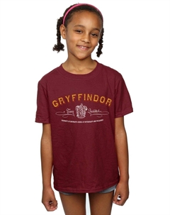 Хлопковая футболка команды Гриффиндора по квиддичу, красный Harry potter