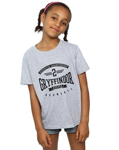 Хлопковая футболка «Хранитель Гриффиндора», серый Harry potter