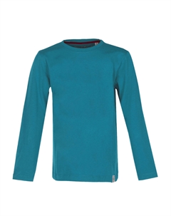 Лонгслив Basic, бензиновый Band of rascals