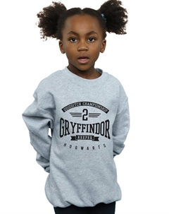 Толстовка вратаря Гриффиндора, серый Harry potter