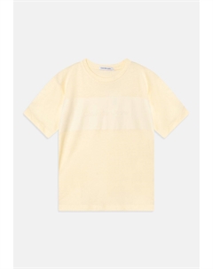 Футболка с принтом COLOR BLOCK LOGO, темно-коричневый Calvin klein