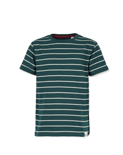 Футболка, цвет racing/green/moos Band of rascals