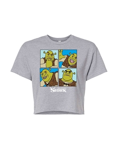 Укороченная футболка Shrek Grid для юниоров, серый Licensed character