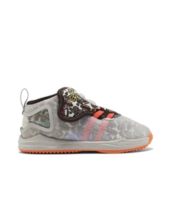 Кроссовки LeBron 19 TD, серый Nike