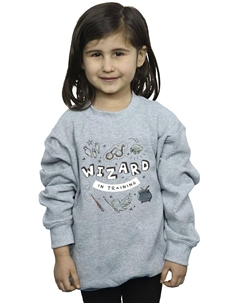 Толстовка Wizard In Training, серый Harry potter