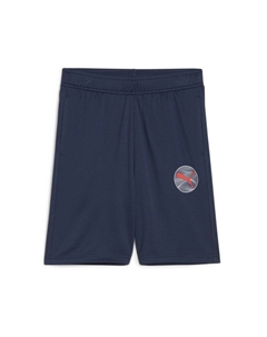 Тренировочные брюки ACTIVE SPORT, темно-синий Puma