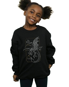 Толстовка с рисунком дракона, черный Harry potter