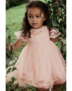 Вечернее платье из сетки с вышивкой (от 3 месяцев до 10 лет), розовый Next