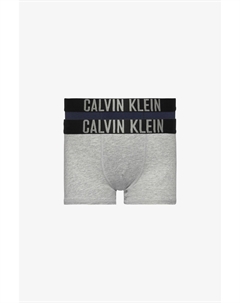 Трусы для мальчиков Intense Power 2 шт, синий Calvin klein