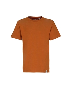 Базовая футболка, цвет Rust Band of rascals