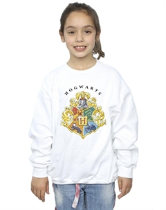 Толстовка с эмблемой школы Хогвартс, белый Harry potter