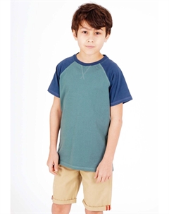 Футболка с принтом RAGLAN, цвет sage blue Band of rascals