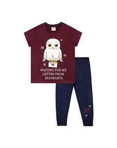 Хедвиг Пижама Письмо из Хогвартса, красный Harry potter