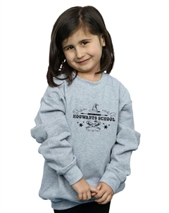 Толстовка первого года Хогвартса, серый Harry potter
