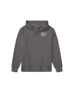 Детская толстовка для мальчиков Peperts! с высоким содержанием органического хлопка, серый Peppert's
