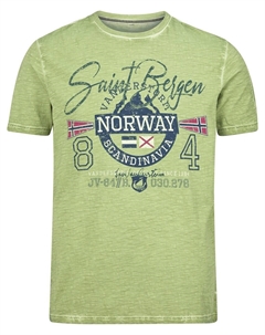 Футболка Helgo, зеленый Jan vanderstorm