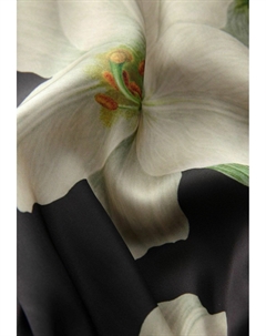 Блуза KEW COLLECTION TIE BACK, черный Next