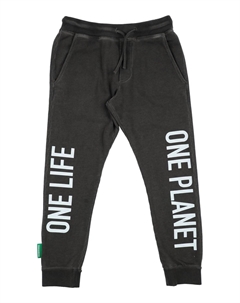 Брюки, серый Dsquared2