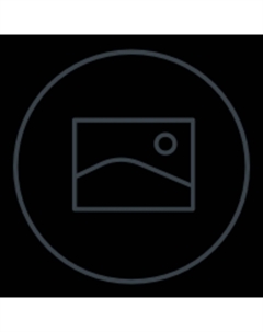 Атласная рубашка с леопардовым принтом, коричневый Ganni